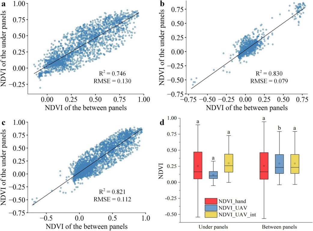 Relazione tra l’NDVI della vegetazione sotto e tra i pannelli fotovoltaici utilizzando dati da rilievi manuali e da drone.