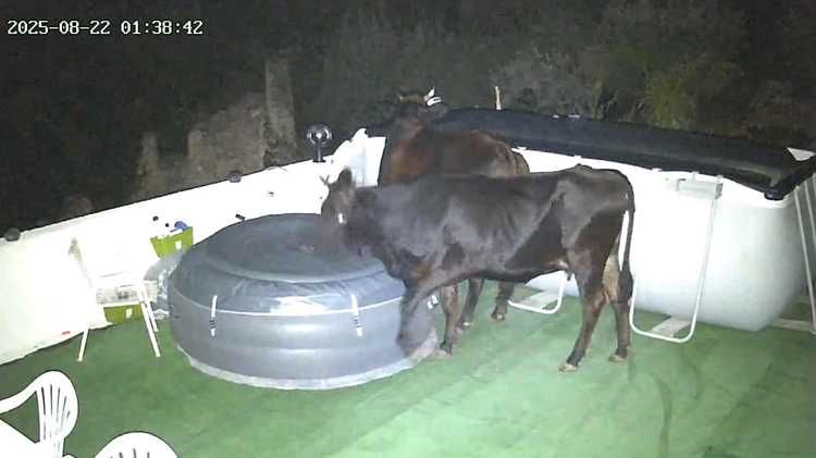 droni per il monitoraggio