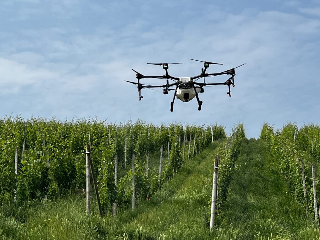 DDL Semplificazioni: positivo il via libera ai droni in agricoltura.