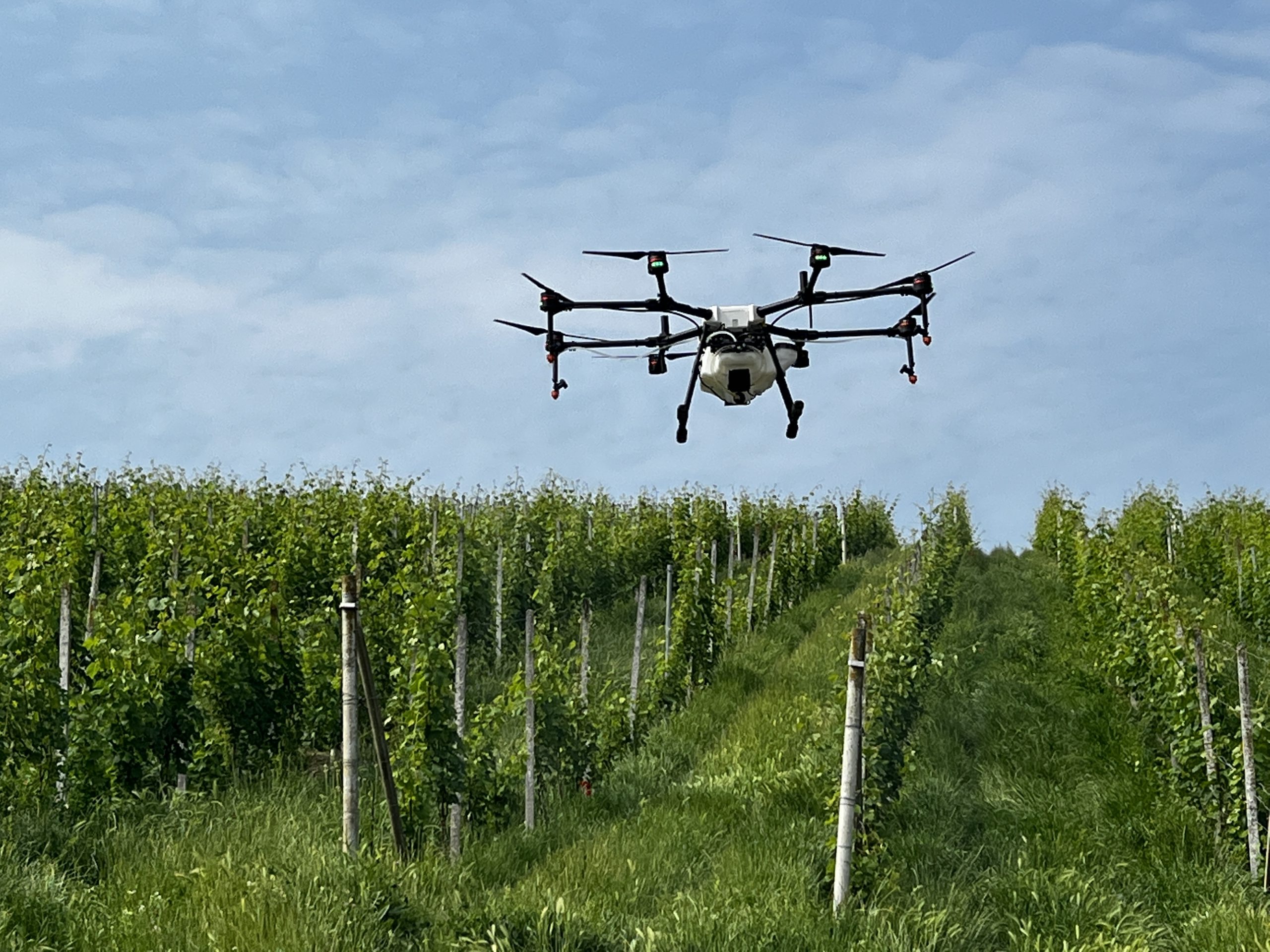 DDL Semplificazioni: positivo il via libera ai droni in agricoltura.