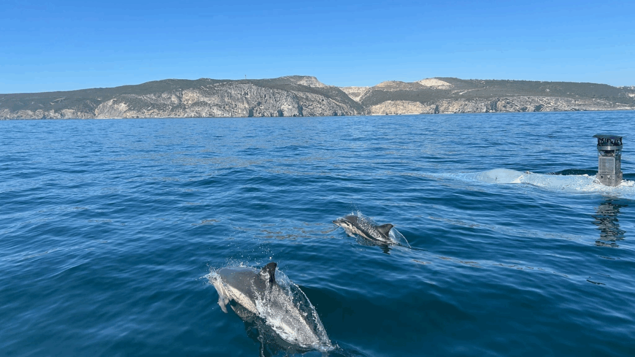 La quindicesima edizione dell’esercitazione REPMUS (Robotic Experimentation and Prototyping with Maritime Unmanned Systems) si è conclusa il 26 settembre nelle località di Troia e Sesimbra, in concomitanza con l’esercitazione DYMS (Dynamic Messenger) della NATO, anch’essa svolta in parallelo.