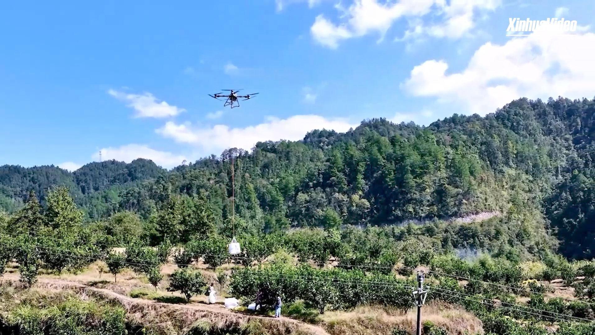 Nel Guizhou i droni agricoli rivoluzionano la raccolta dei pomeli: meno fatica, logistica più efficiente e nuova agricoltura di montagna intelligente e sostenibile.