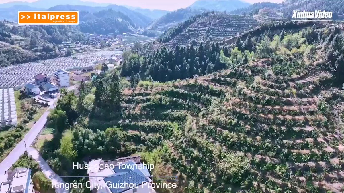 Nel sud‑ovest della Cina i droni agricoli collegano i frutteti ai camion a valle, tagliano tempi e costi di trasporto e rendono competitiva l’agricoltura di montagna.