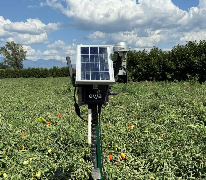 Il progetto, denominato “S.A.L.U.S. – Soluzioni Avanzate per la Lotta contro le malattie delle piante con l’Utilizzo di tecnologie Spaziali”, è stato presentato nella Sala Cinese della Reggia di Portici, presso il Dipartimento di Agraria dell’Università Federico II.