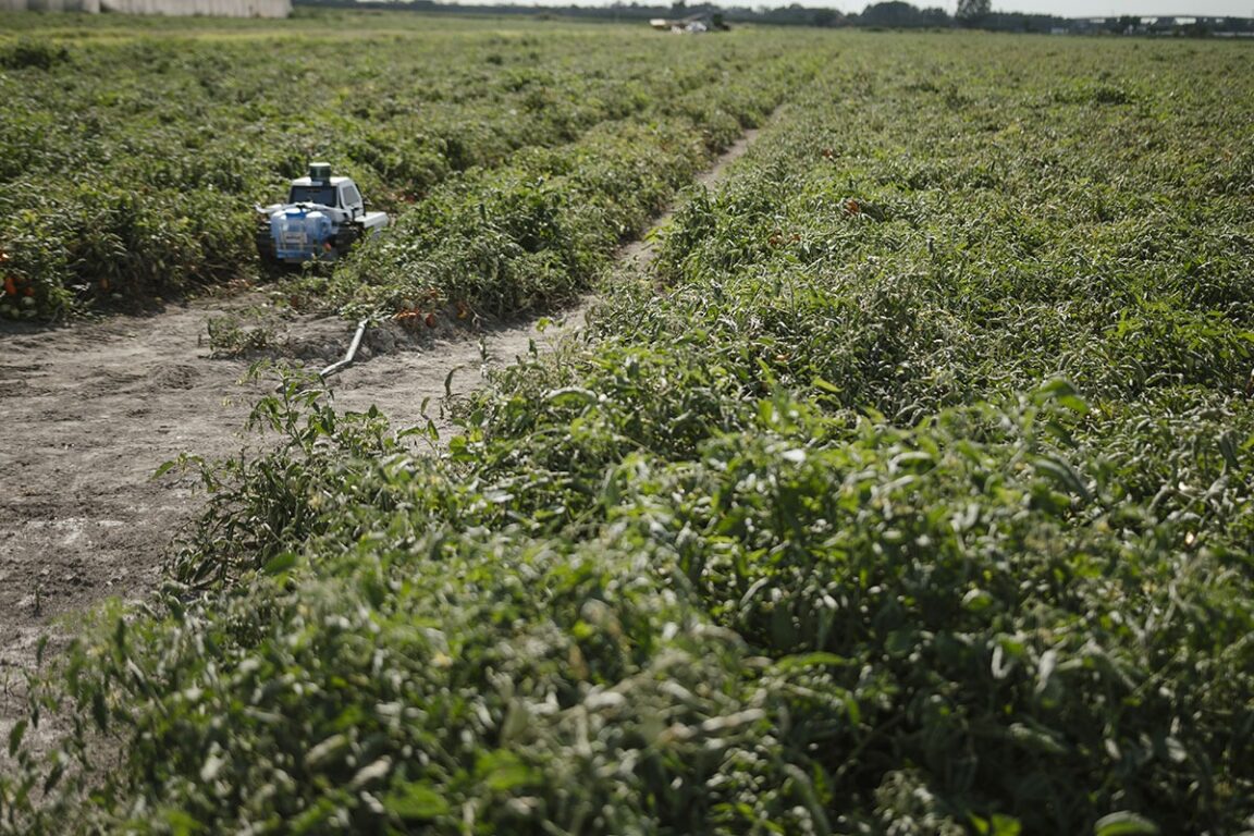 Il progetto S.A.L.U.S. ha l’obiettivo di promuovere una trasformazione concreta nel modo in cui vengono gestite la difesa delle colture e la fertilizzazione in agricoltura. 