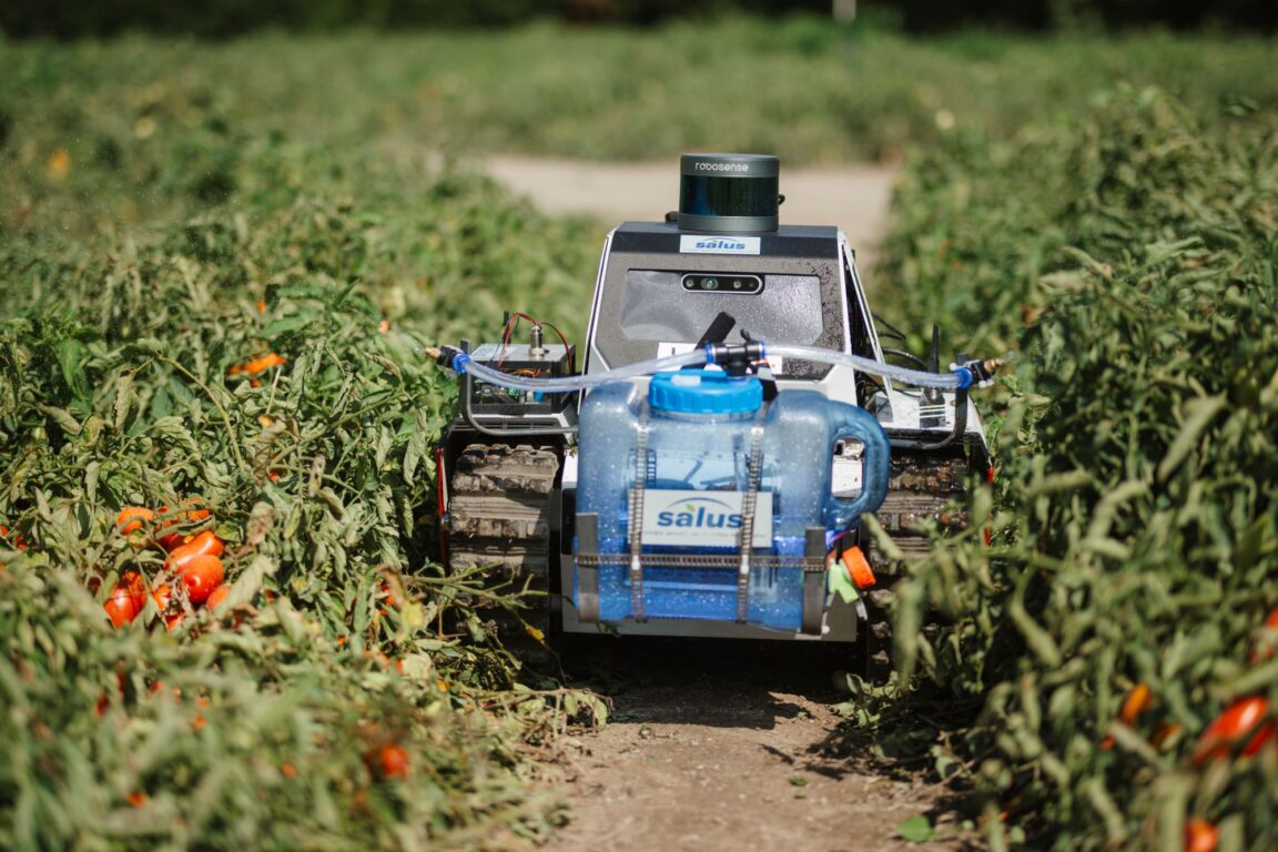 Il progetto S.A.L.U.S. è finanziato dal Piano Nazionale di Ripresa e Resilienza (PNRR) – Missione 4, Componente 2, Investimento 1.4, nell’ambito della Fondazione Agritech – National Research Centre for Agricultural Technologies, e sostenuto dall’Unione Europea – NextGenerationEU.