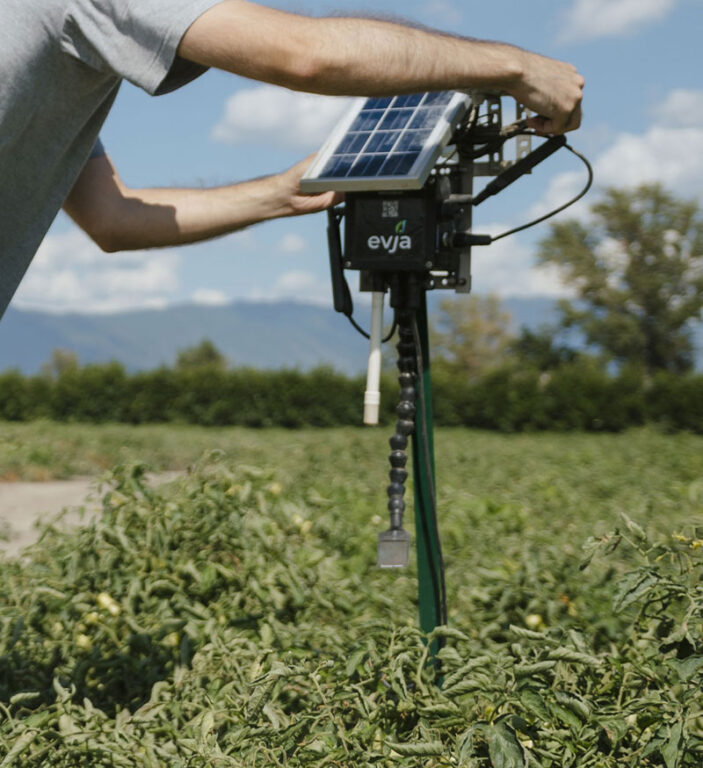 La piattaforma, elaborando immagini satellitari integrate dai dati delle centraline e dalle ispezioni puntuali effettuate da rover e droni, ha generato previsioni tramite intelligenza artificiale sullo stato di salute delle piante, sulle loro necessità e sulla necessità di eventuali trattamenti.