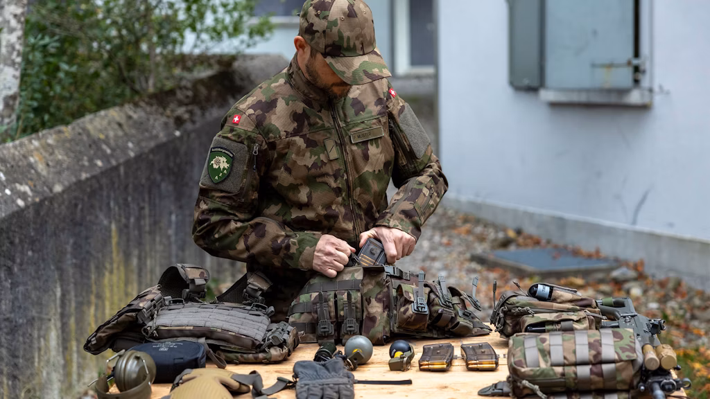La Task force Droni (TFD) è stata istituita nel giugno 2024 dal capo dell'armamento Urs Loher, dal capo dell'esercito Thomas Süssli, dal segretario generale del DDPS Daniel Büchel e dalla direttrice dell'Ufficio federale della protezione della popolazione Michaela Schärer. Il controllo è assicurato dal capo dell'esercito e dal capo dell'armamento. La direzione è stata affidata a Thomas Rothacher, sostituto del capo dell’armamento e direttore di armasuisse Scienza e tecnologia (S+T).