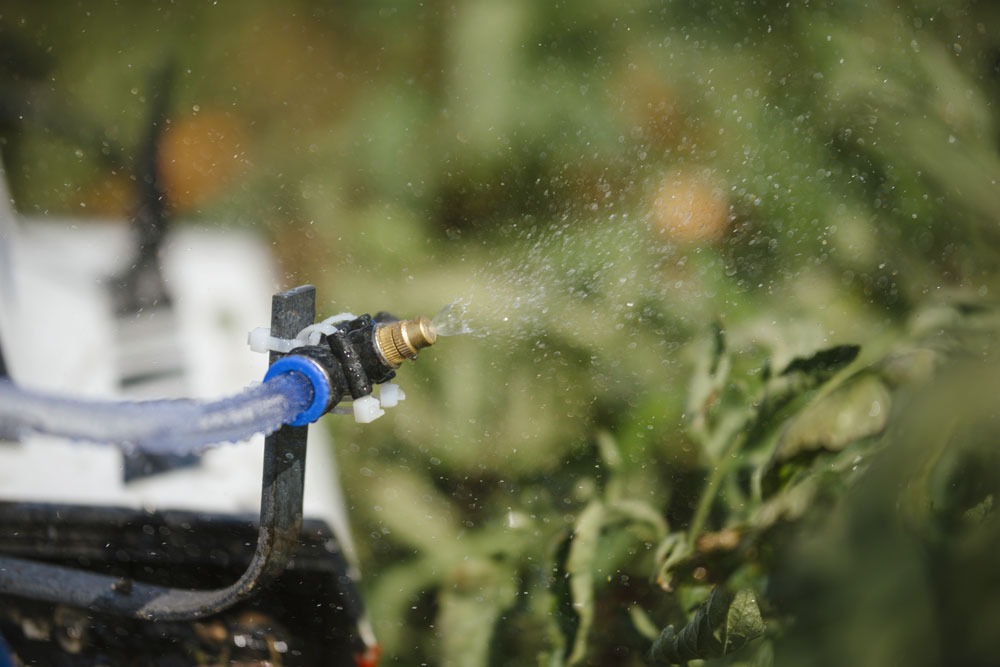 Il progetto, denominato “S.A.L.U.S. – Soluzioni Avanzate per la Lotta contro le malattie delle piante con l’Utilizzo di tecnologie Spaziali”, è stato presentato nella Sala Cinese della Reggia di Portici, presso il Dipartimento di Agraria dell’Università Federico II.