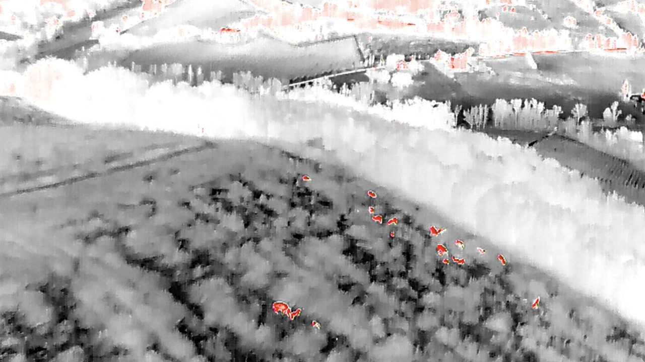 Dal monitoraggio alle decisioni: l&rsquo;obiettivo &egrave; ridurre segnalazioni e presenze nelle aree sensibili del Sinis.