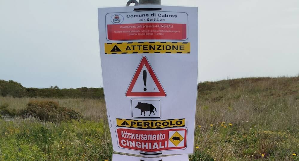 Droni per il monitoraggio faunistico: immagini georeferenziate e rotte ripetibili per leggere corridoi e zone di alimentazione.