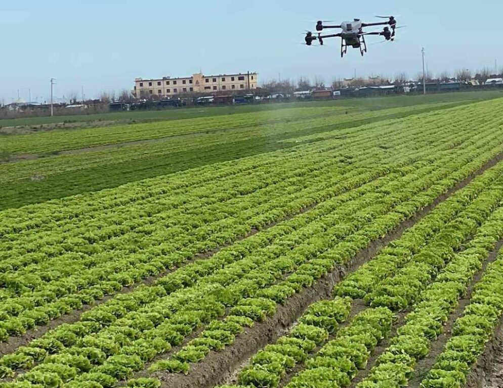 Trattamenti con droni: l&rsquo;Italia avvia un triennio di sperimentazione per l&rsquo;irrorazione fitosanitaria con regole da definire nel decreto attuativo.