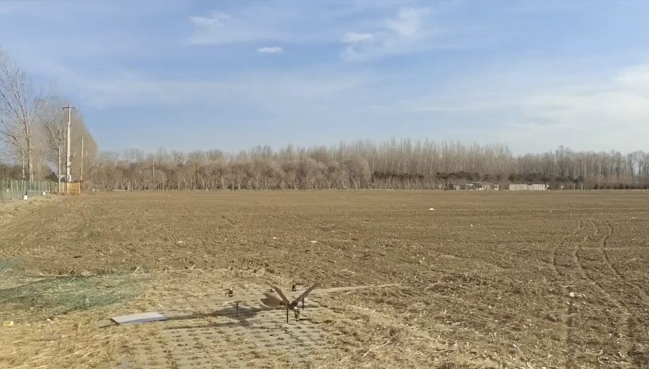 Drone in bambù: la Cina testa un VTOL ad ala fissa per missioni BVLOS. Composito bio-based e costi ridotti rispetto alla fibra di carbonio.