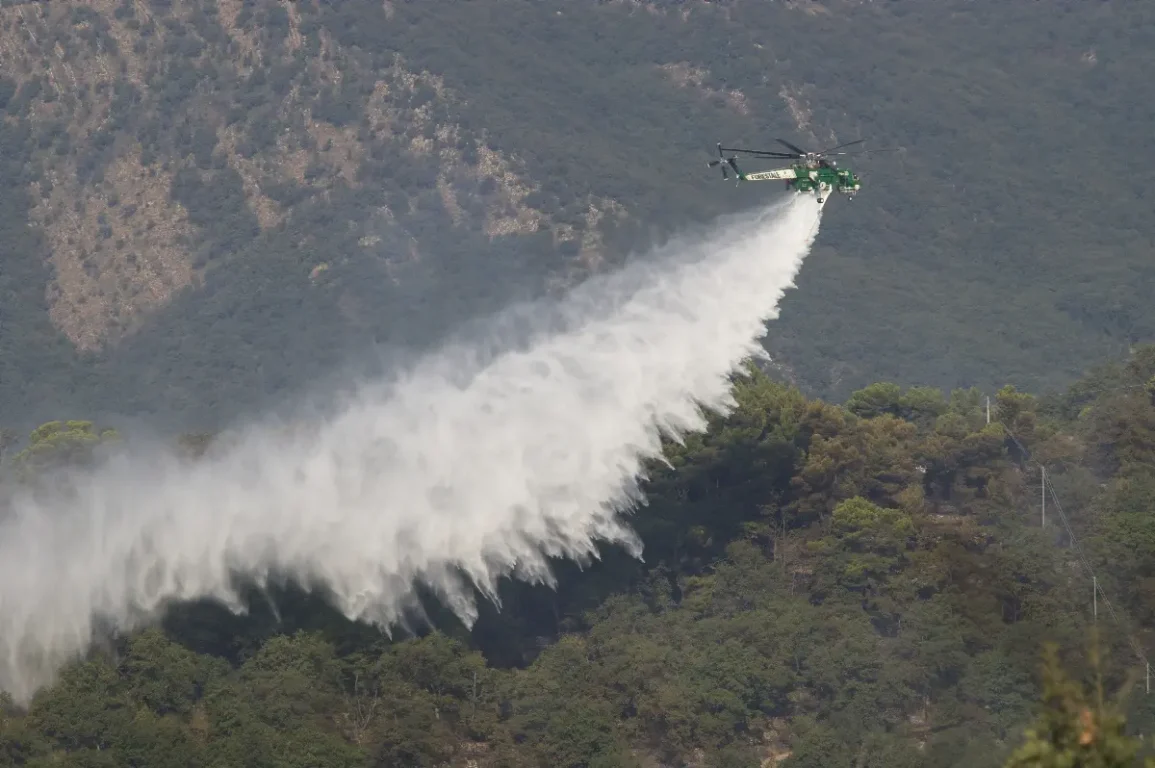 Oltre 30 ettari di bosco coinvolti dalle fiamme, con stima provvisoria destinata a essere affinata con verifiche successive.