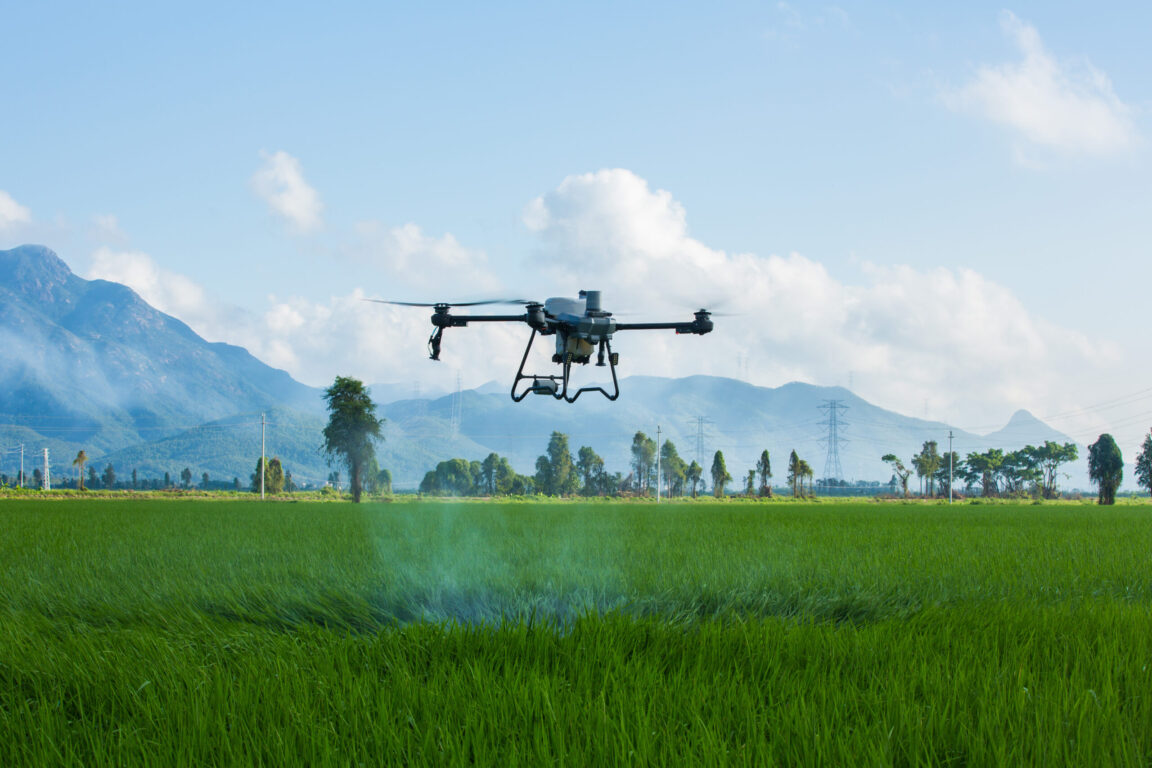 Drone multispettrale in volo su campo di mais in Pianura Padana per monitoraggio agricoltura di precisione.
