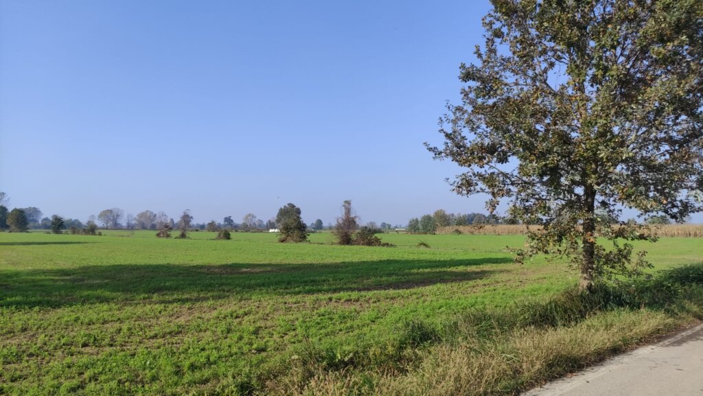 Il Consorzio Agrario di Cremona ha investito in un drone professionale multispettrale gestito da un team tecnico interno specializzato. Il servizio include pilotaggio, pianificazione delle operazioni di volo e analisi dei dati, ed &egrave; disponibile per le aziende agricole del territorio.