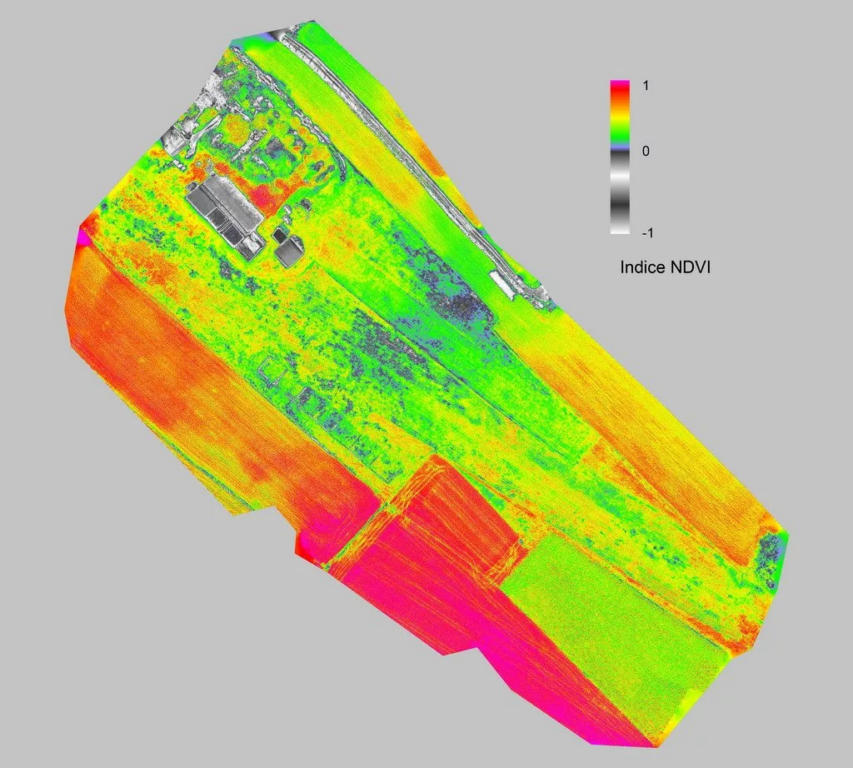 L&rsquo;NDVI (Normalized Difference Vegetation Index) misura il vigore vegetativo delle colture. Si calcola dalla differenza tra la riflettanza nel vicino infrarosso e quella nel rosso. Valori alti indicano piante in buono stato fotosintetico. Valori bassi segnalano stress idrico, carenze nutrizionali o patologie in atto.