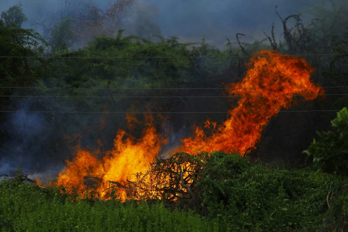 Incendi boschivi: al via la campagna AIB 2026,