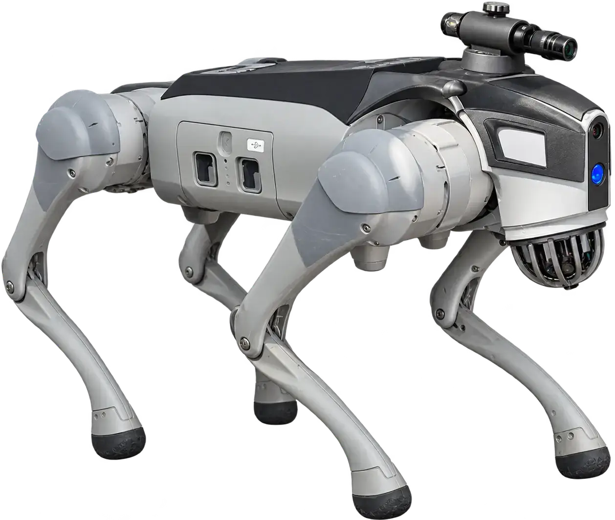 Cane Robotico FIERA MILANO